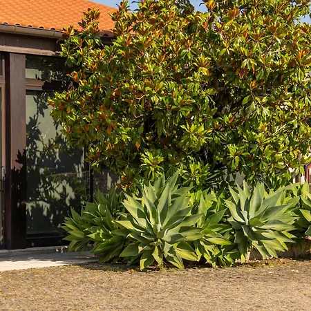 Rural Quinta De Sao Sebastiao