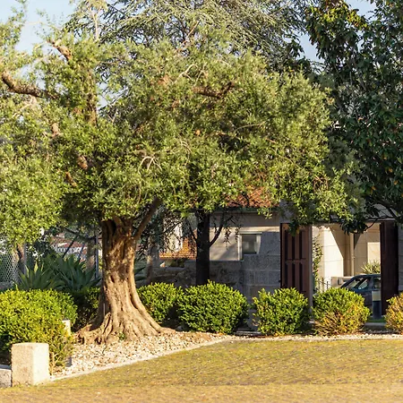 Rural Quinta De Sao Sebastiao Ξενοδοχείο Barroselas