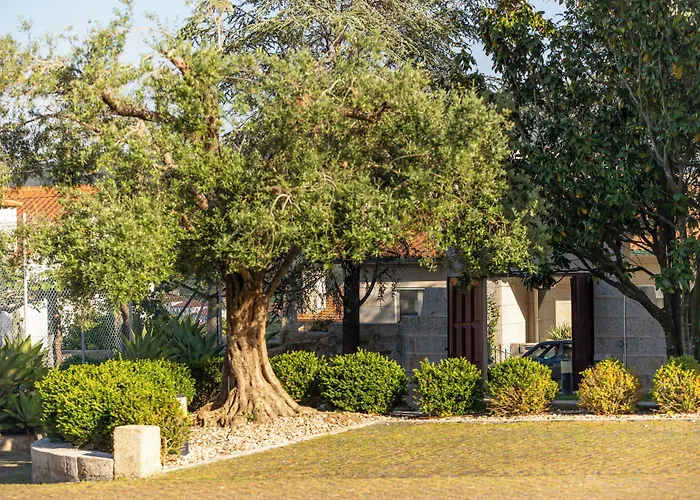Rural Quinta De Sao Sebastiao Hotel Barroselas